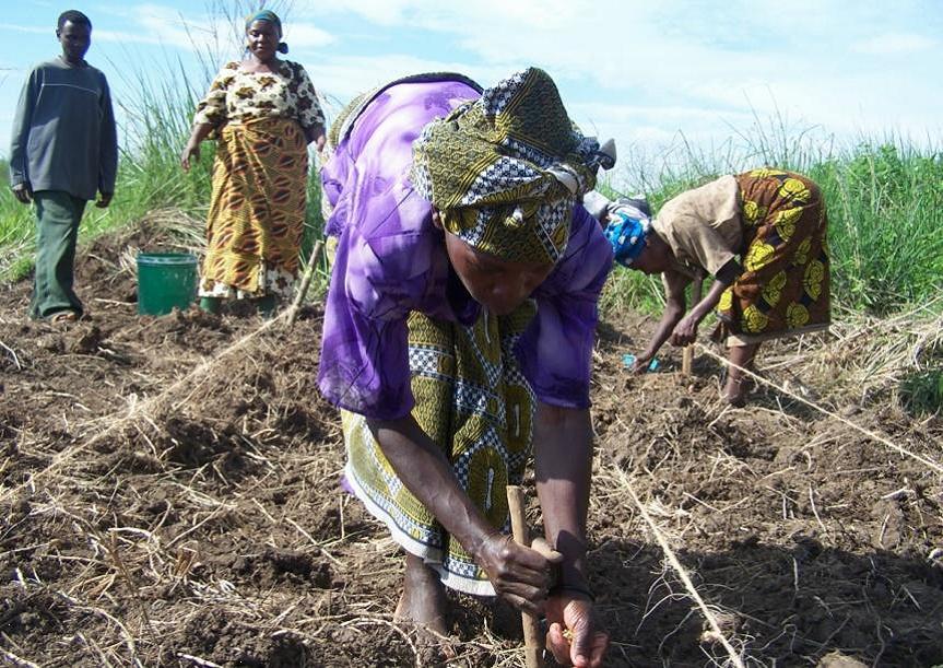 Photo 2 from MicroFinancing Partners in Africa